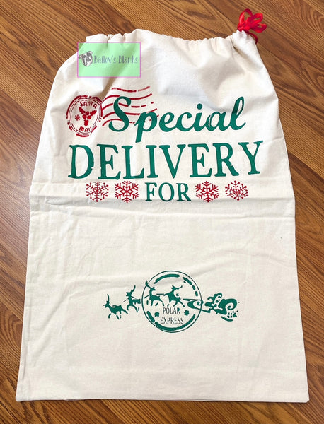Special Delivery Santa Sack - Large